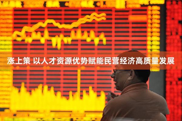 涨上策 以人才资源优势赋能民营经济高质量发展