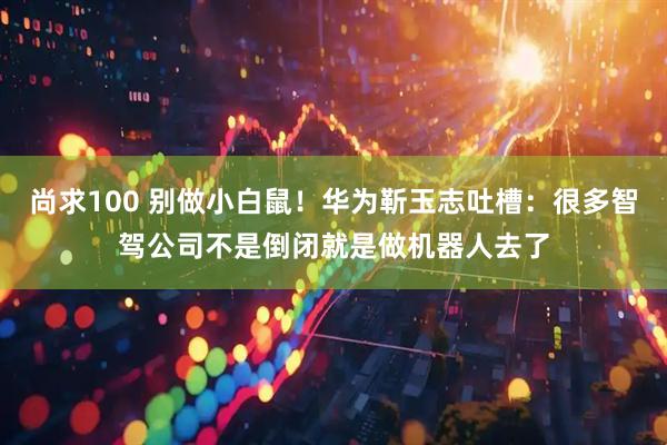 尚求100 别做小白鼠！华为靳玉志吐槽：很多智驾公司不是倒闭就是做机器人去了