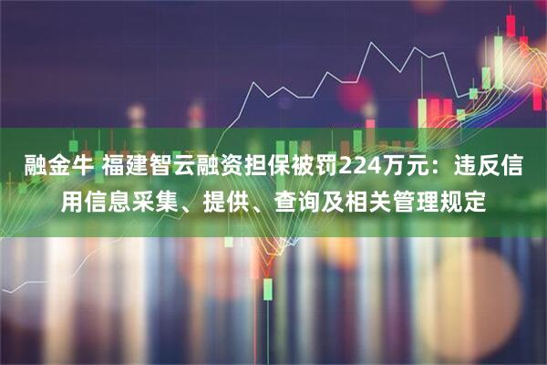 融金牛 福建智云融资担保被罚224万元：违反信用信息采集、提供、查询及相关管理规定