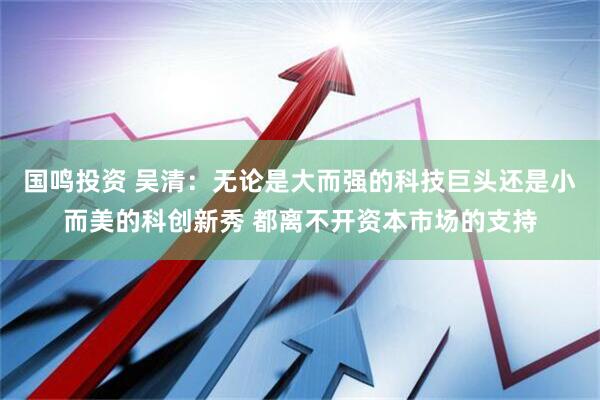 国鸣投资 吴清：无论是大而强的科技巨头还是小而美的科创新秀 都离不开资本市场的支持