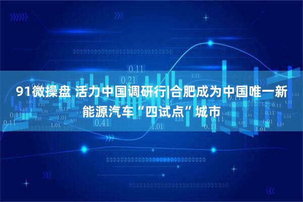 91微操盘 活力中国调研行|合肥成为中国唯一新能源汽车“四试点”城市