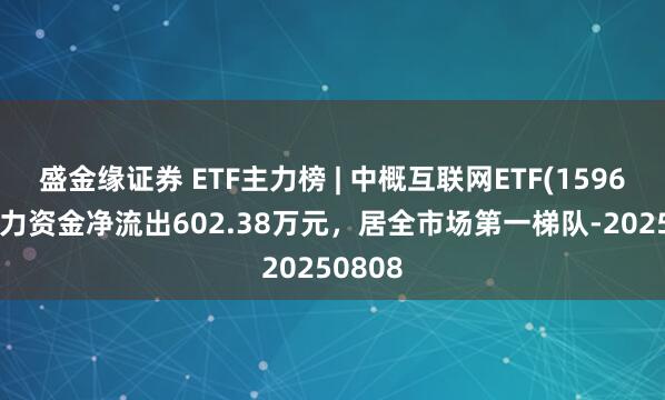 盛金缘证券 ETF主力榜 | 中概互联网ETF(159607)主力资金净流出602.38万元，居全市场第一梯队-20250808