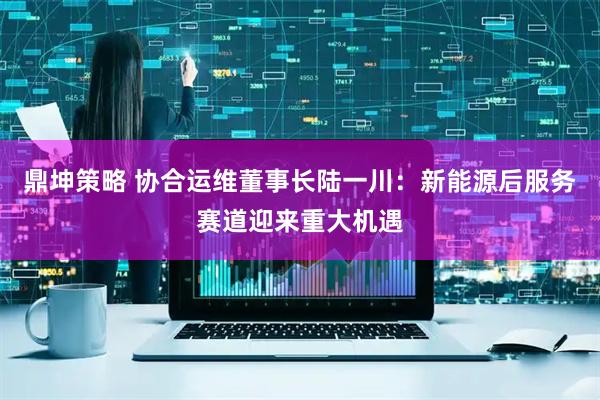鼎坤策略 协合运维董事长陆一川：新能源后服务赛道迎来重大机遇