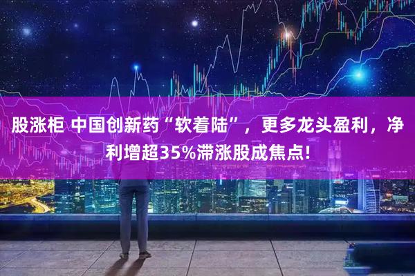 股涨柜 中国创新药“软着陆”，更多龙头盈利，净利增超35%滞涨股成焦点!