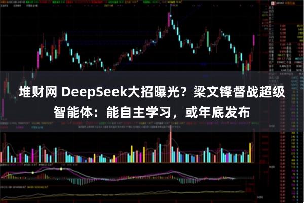 堆财网 DeepSeek大招曝光？梁文锋督战超级智能体：能自主学习，或年底发布