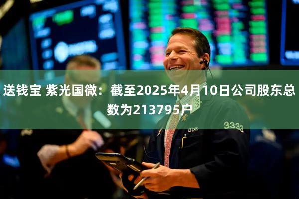 送钱宝 紫光国微：截至2025年4月10日公司股东总数为213795户
