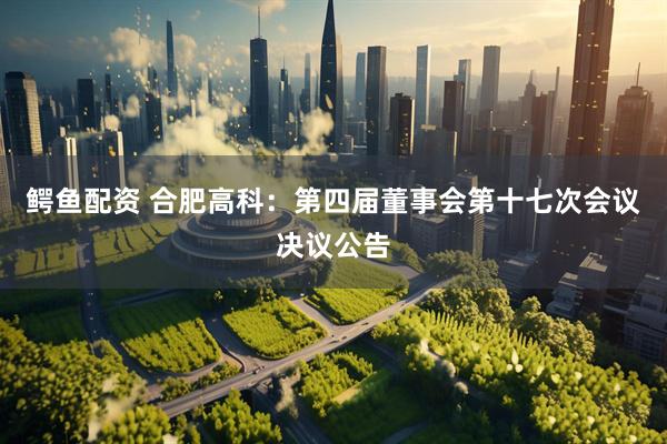 鳄鱼配资 合肥高科：第四届董事会第十七次会议决议公告