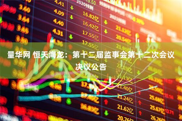 量华网 恒天海龙：第十二届监事会第十二次会议决议公告