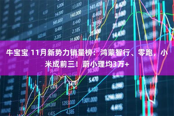 牛宝宝 11月新势力销量榜：鸿蒙智行、零跑，小米成前三！蔚小理均3万+