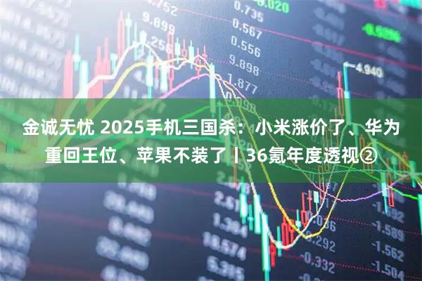金诚无忧 2025手机三国杀：小米涨价了、华为重回王位、苹果不装了丨36氪年度透视②